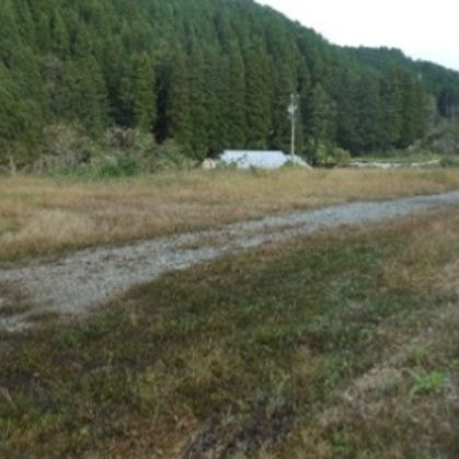 郡上市八幡町初音
