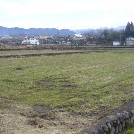 郡上市八幡町初音